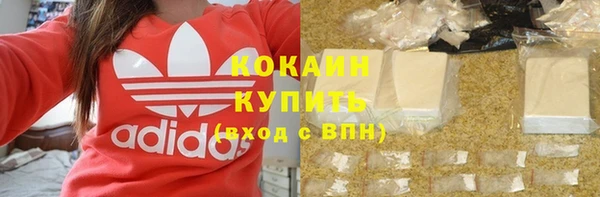 PSILOCYBIN Болотное