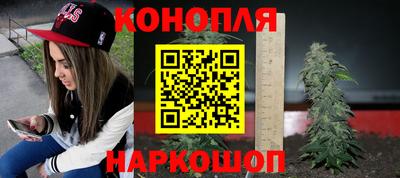 СК Сланцы