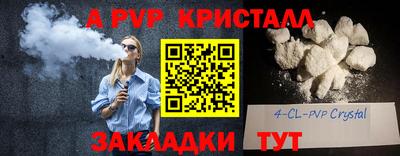 стафф Славгород