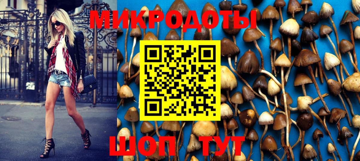Псилоцибиновые грибы мицелий Первоуральск