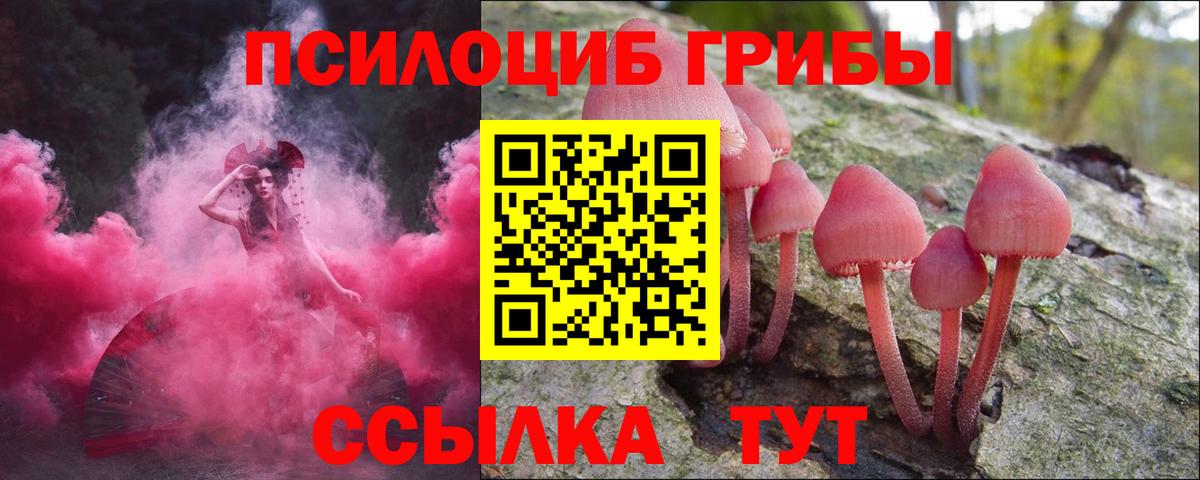 Первоуральск  Псилоцибиновые грибы MAGIC MUSHROOMS  наркошоп  Вход с VPN 